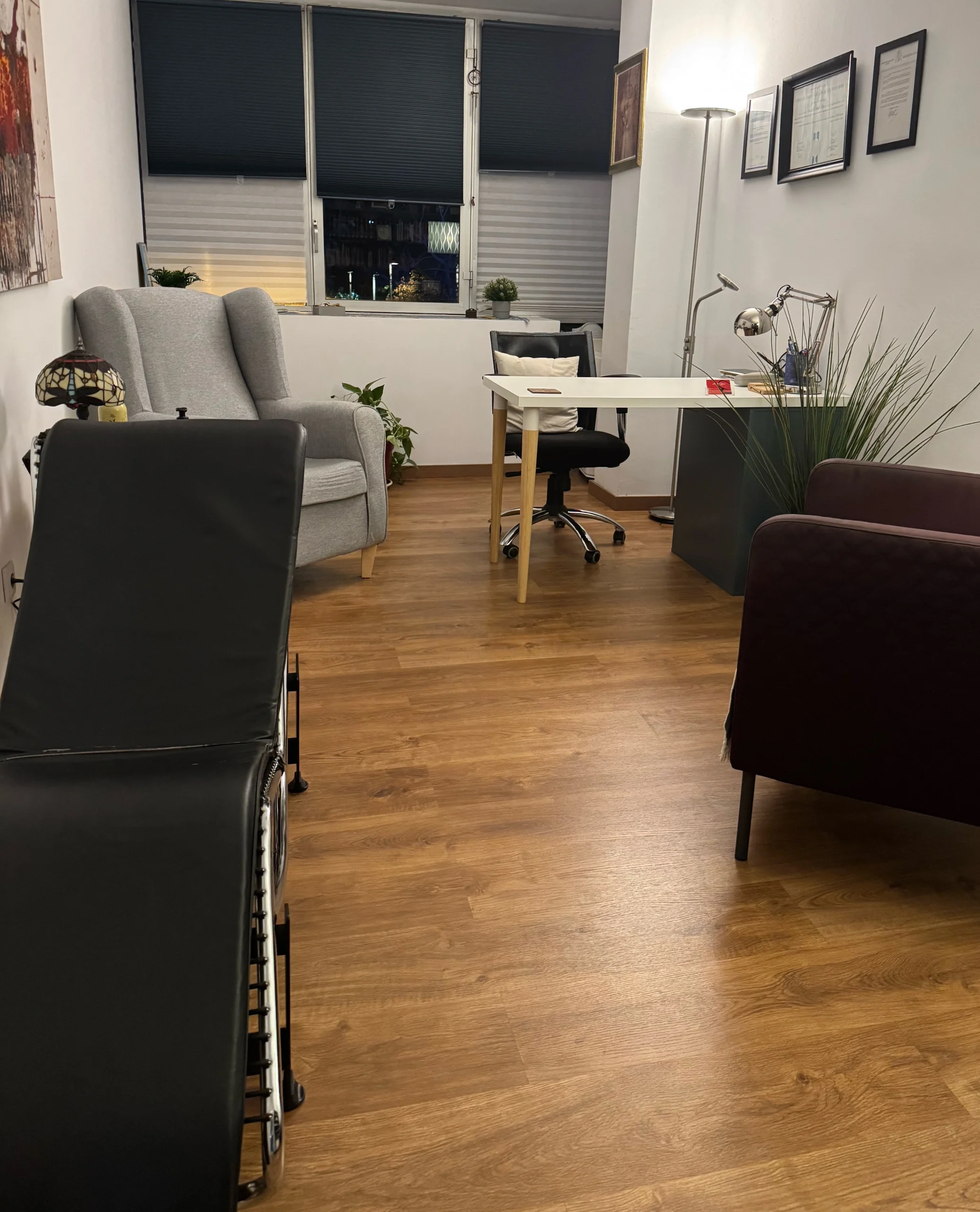 Psicólogo ansiedad en Cerdanyola: Terapia psicoanalítica 3 Consulta Psicología en Cerdanyola